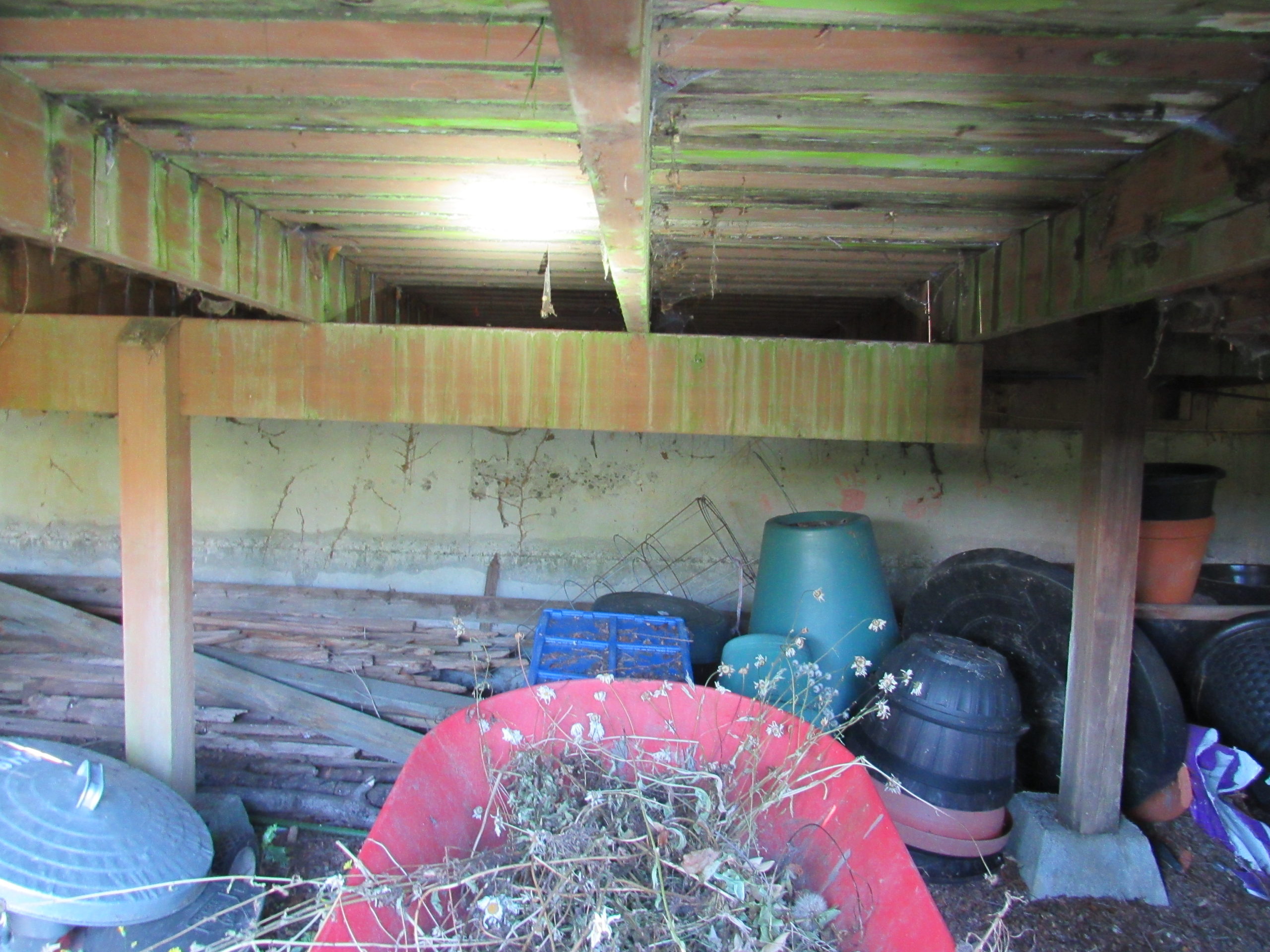 “I’ve Had 20 People on This Deck!”